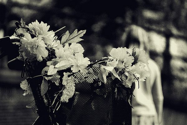 great_still_life_photography_part2_25.jpg