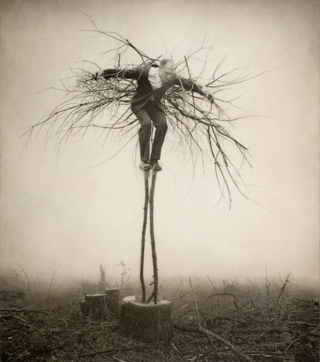 Robert_Shana_Parkeharrison16.jpg