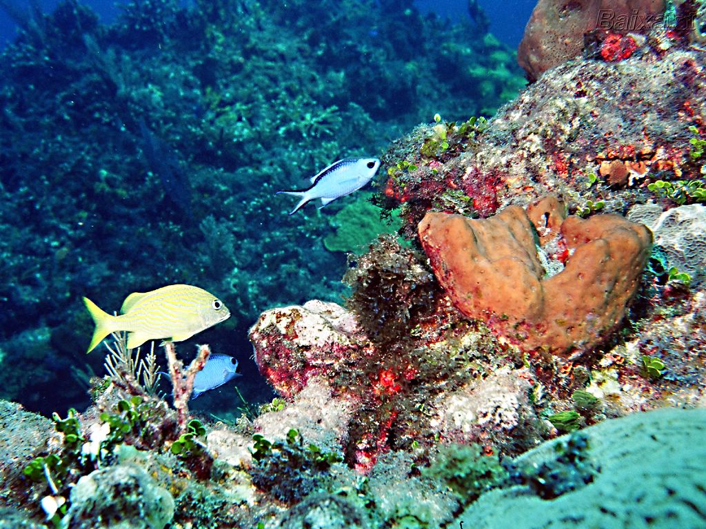 BXK5316_00390014800.jpg