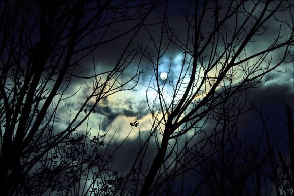 Wonderful_photos_taken_at_night_time16.jpg