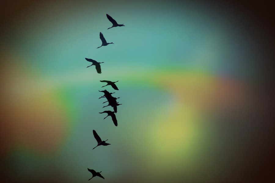no_return_by_tanjamaria_d70o360.jpg