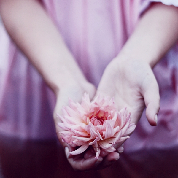 rosy_by_flowerpottt.jpg