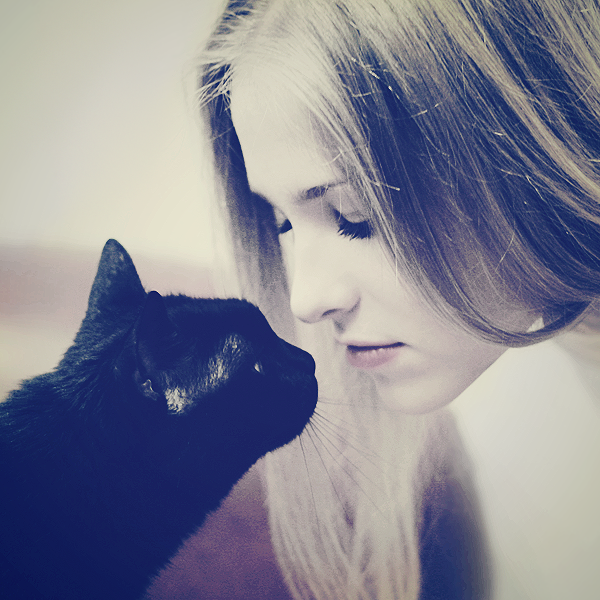 12962d502930b72c7a36bf9cc213d157.png