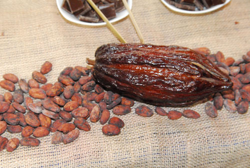 0501_cacao_podW1.jpg