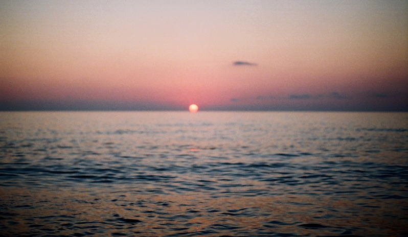 1451614_592802610792534_322290555_n.png