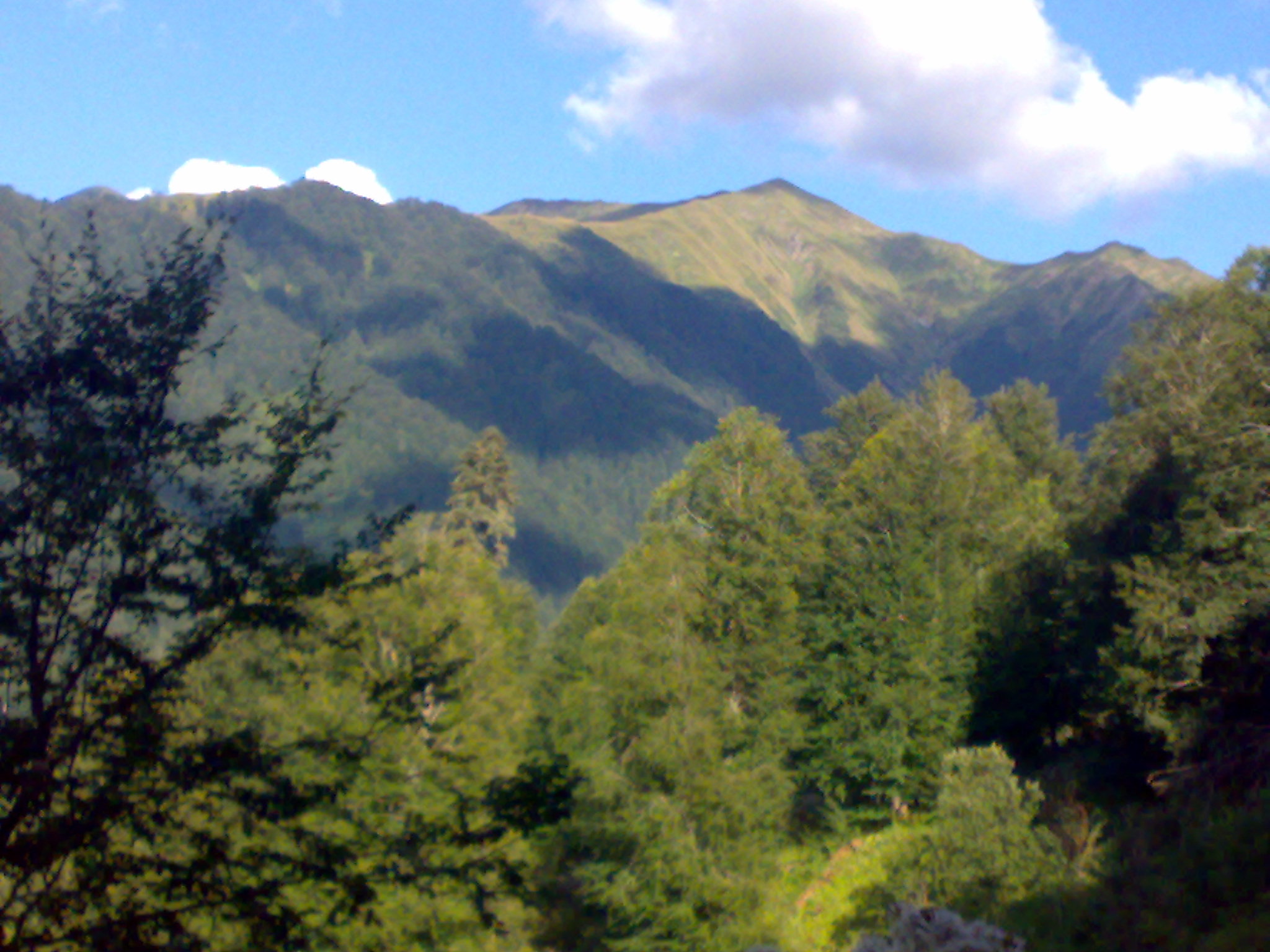 20100821914.jpg