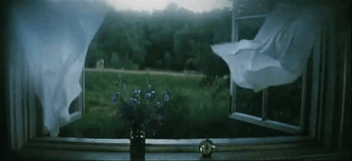 tumblr_mh1z9sbA2E1qei95oo1_500.gif