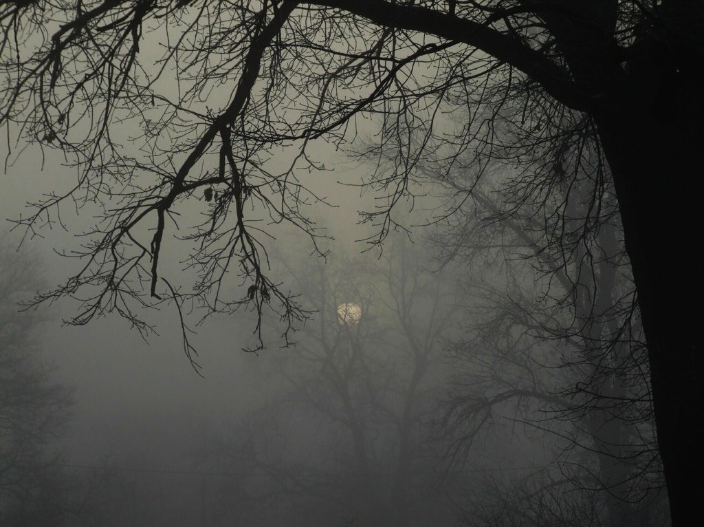 gloomy_morning_by_louveska_d6yqvyn.jpg