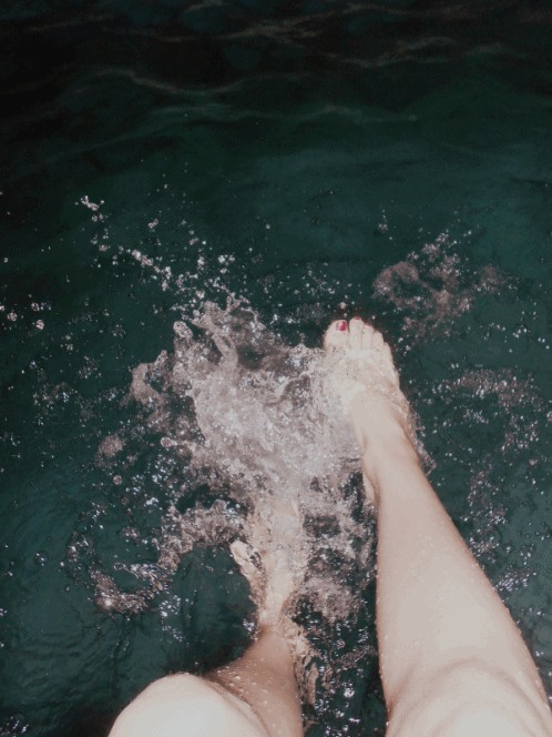 giphy.gif