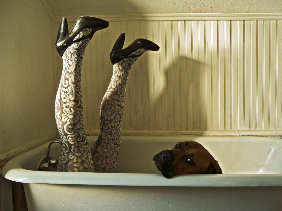 950_legs_dog_bath.jpg