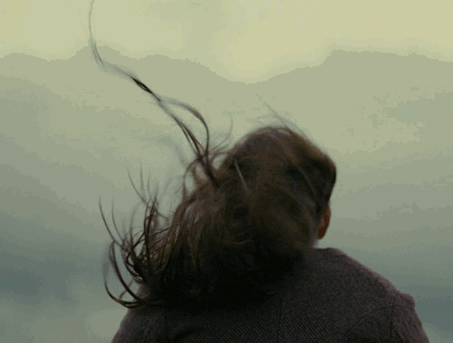 01.gif