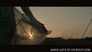 001.gif