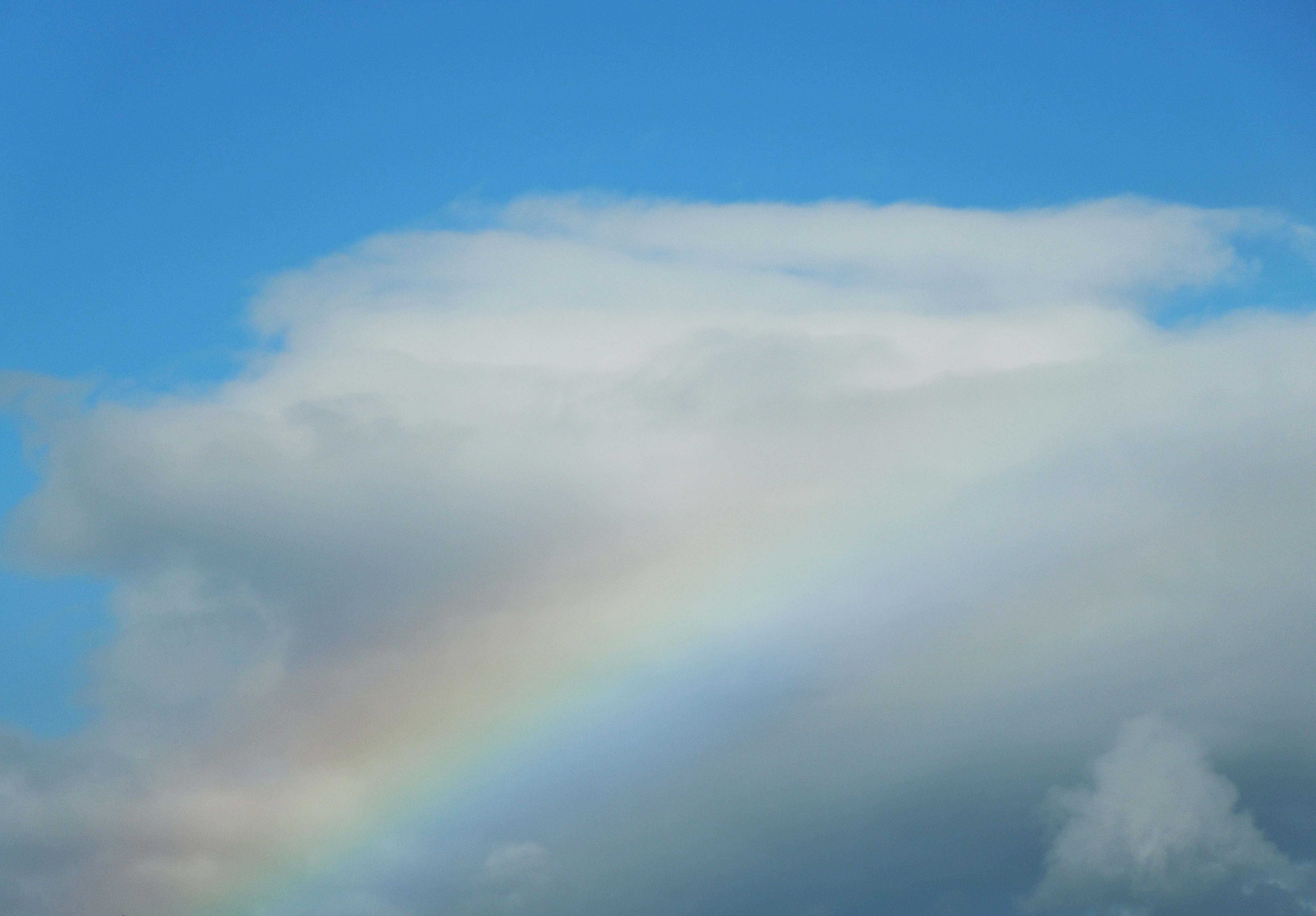 DSCN0614__8.jpg