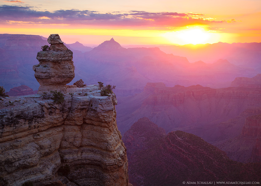Grand_Canyon_Duck_on_a_Rock_26411.jpg