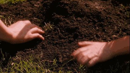 tumblr_m32w48ip9Q1r8swqdo1_500.gif