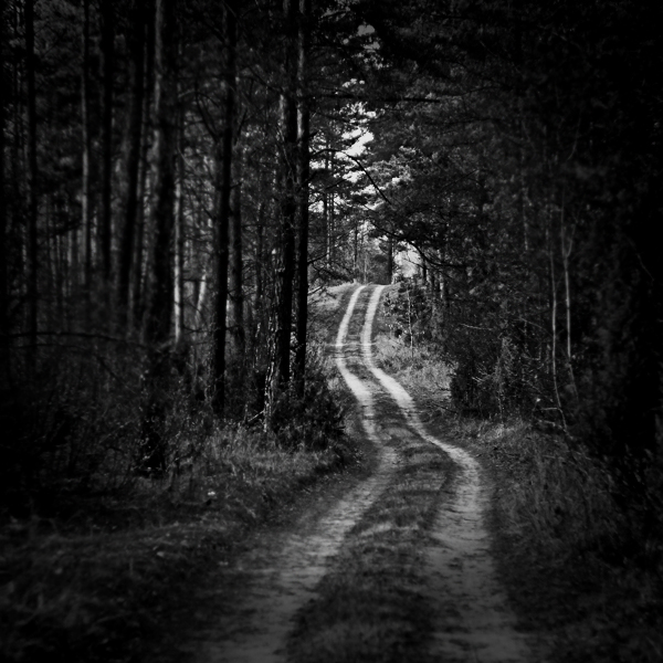 the_road_by_wolf_minori_d353tbv.jpg