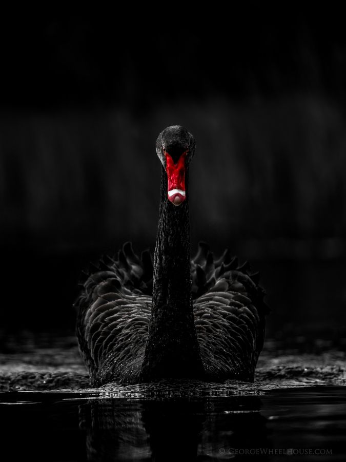 95a50d3393a052eb6356347d63a095fc.jpg