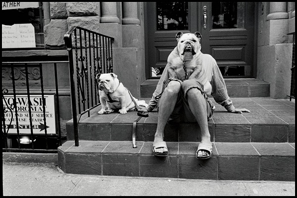 Copyright_Elliott_Erwitt_MAGNUM_USA_NYC_2000_64179.jpg