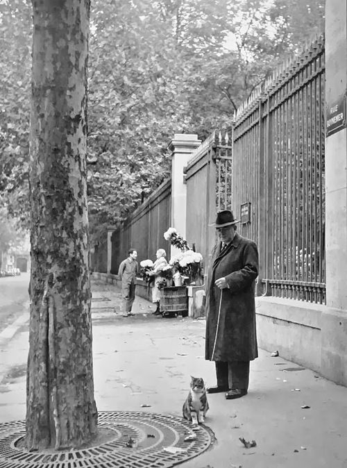 Izis_Bidermanas___Man_walking_with_pussycat__Rue_Guynemer__Paris__1950s..jpg