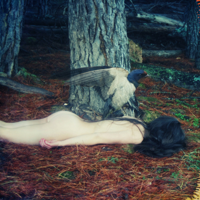 flickr.jpg