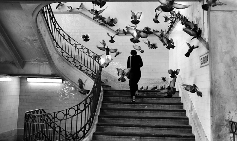 Rui_Palha_Web1.jpg