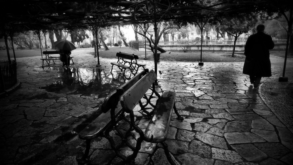 artlimited_img342890.jpg