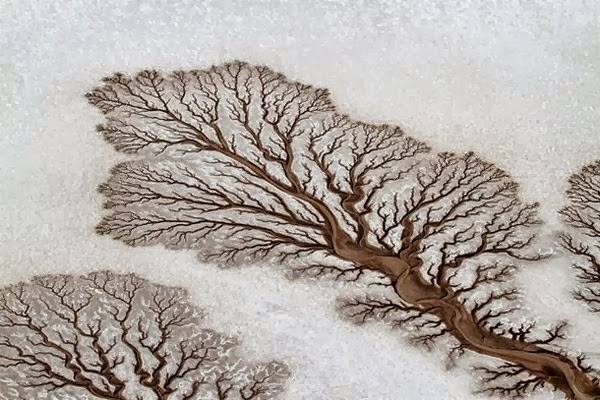 Desert_Rivers__Mexico._Photograph_by_Adriana_Franco.jpg