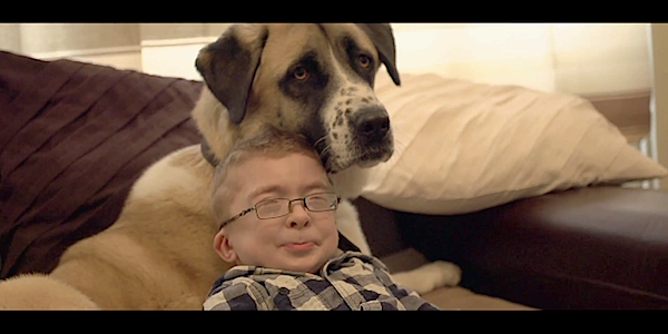 boy_dog_2_elite_daily_600x300.png