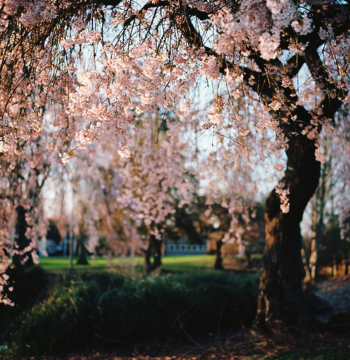 tumblr_n1avy3o3oV1qf8em3o1_500.jpg