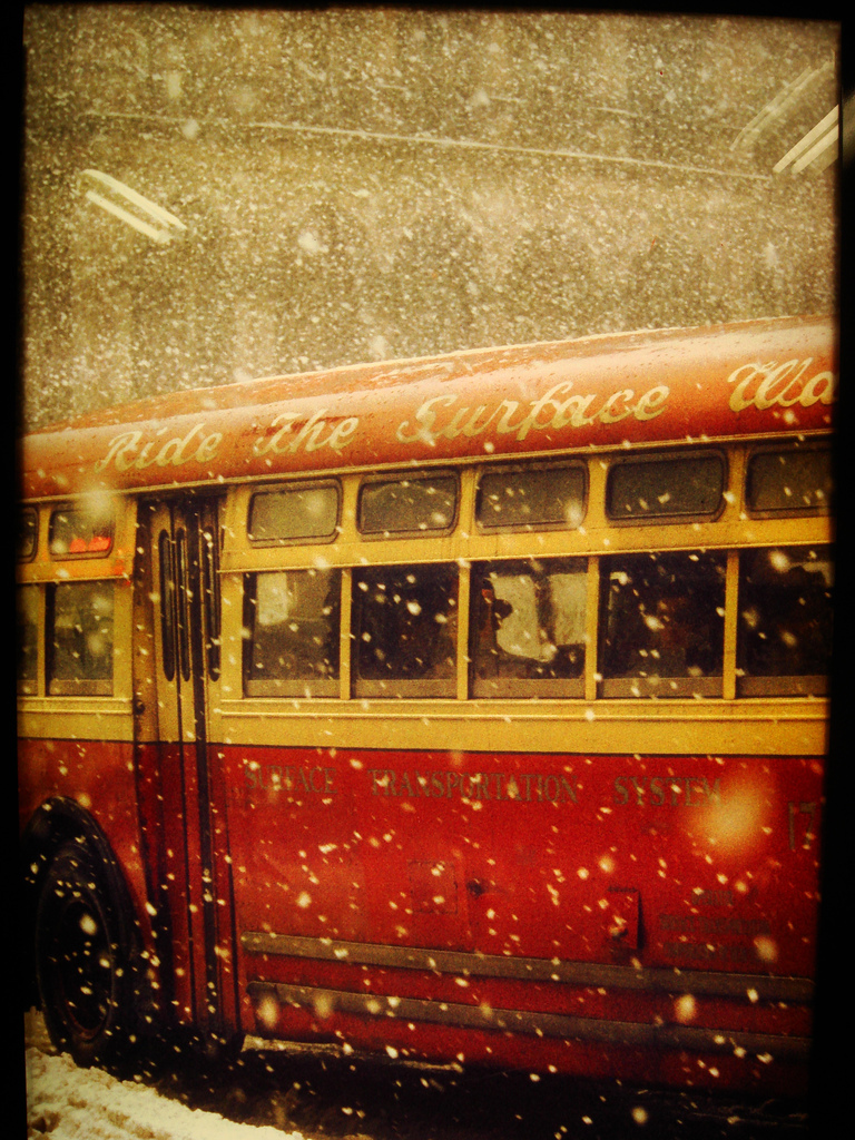 saulleiter6.jpg