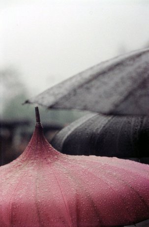 SaulLeiter_22_Untitled__pink_umbrella_close_up_.jpg