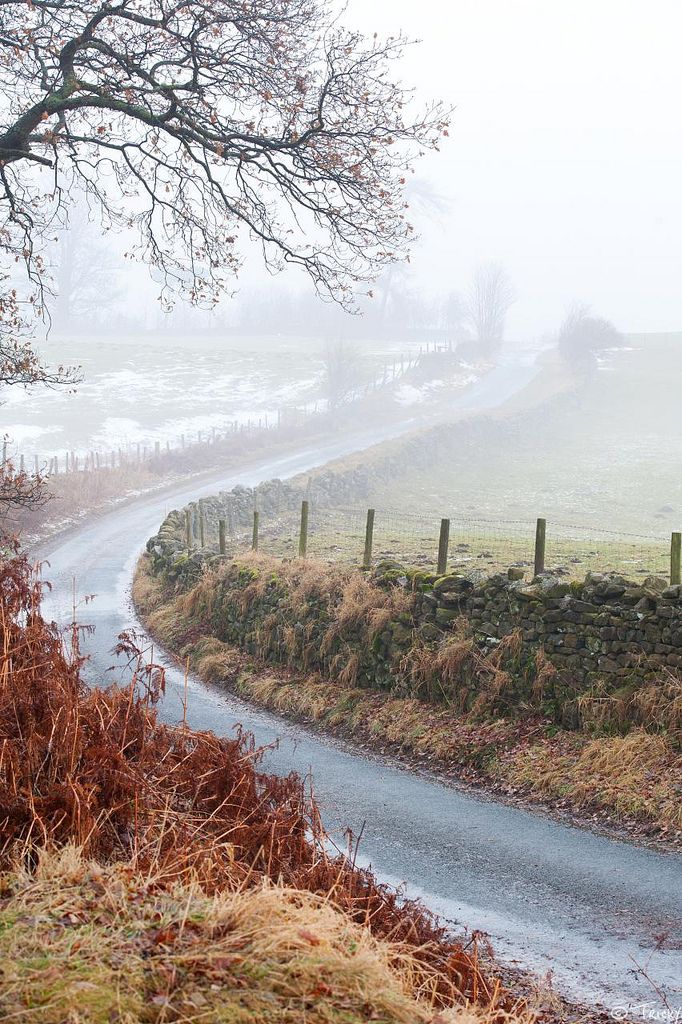 Foggy_wintery_lane__Masham__North_Yorkshire__by_tricky__rick_harrison__.jpg