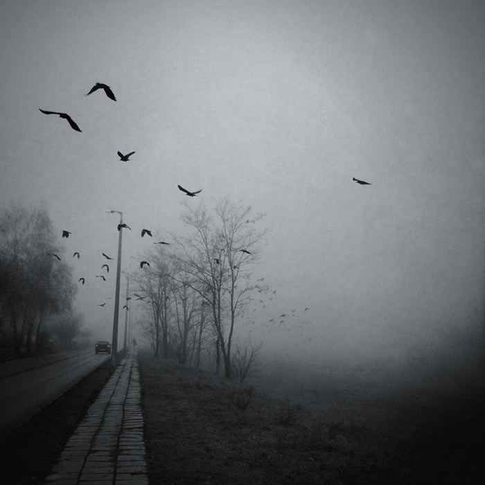tamas_andok_photography_16.jpg