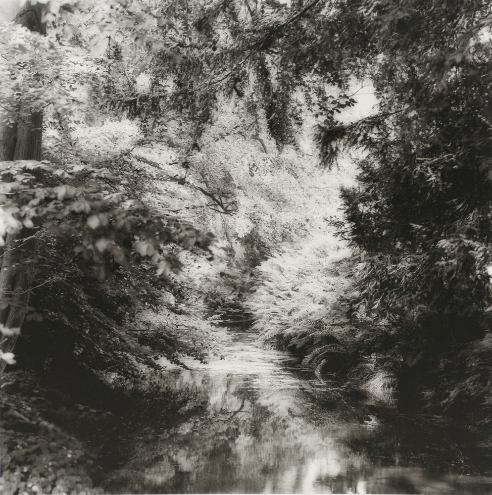 0_e13d7_e82b530d_orig.jpg