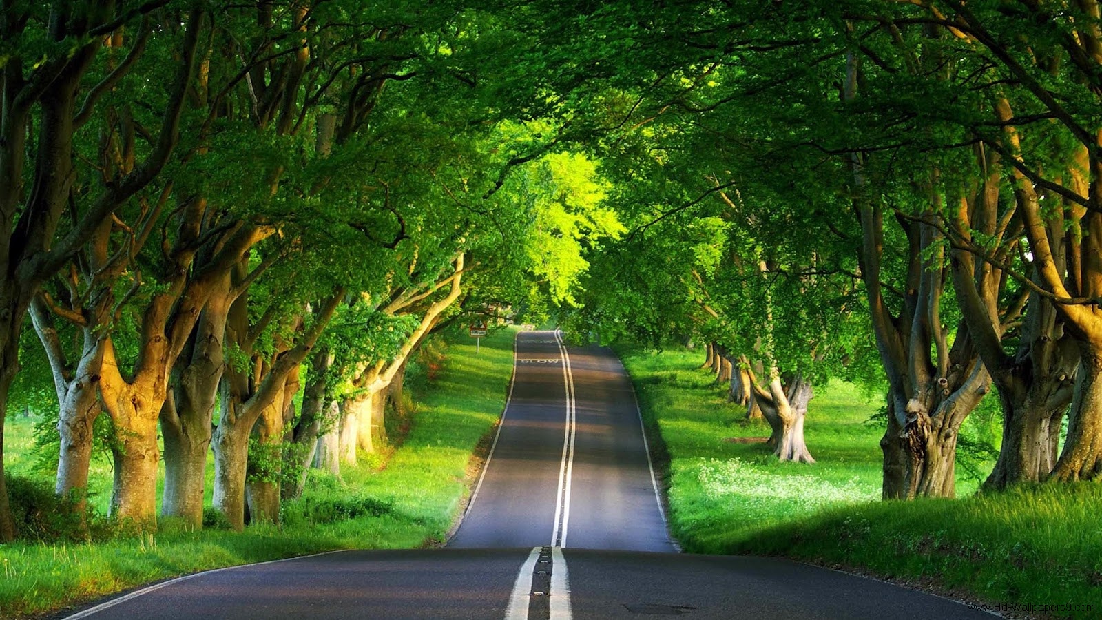 free_beautiful_place_wallpaper_hd_102.jpg
