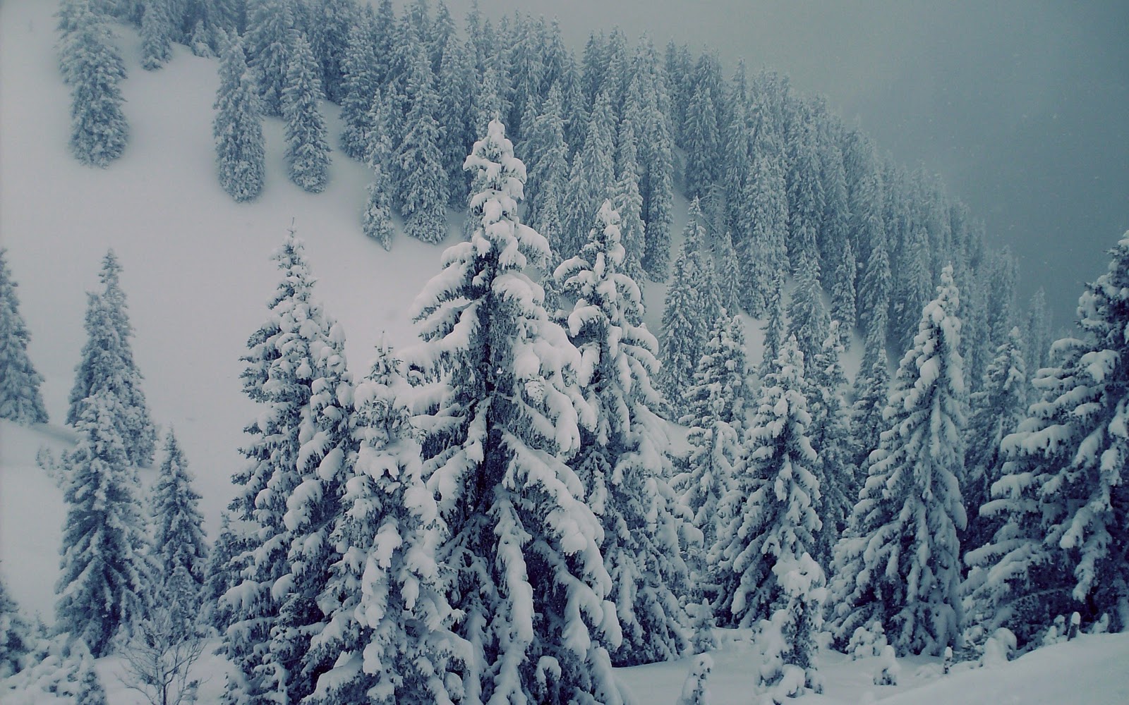 HD_WALLPAPER_DOWNLOAD_FREE__thewallpaperdb.blogspot__103_.jpg