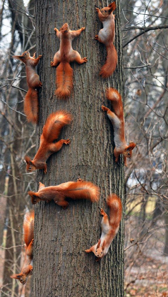Family_Meeting._Photo_by_Vitali_Bondar.jpg