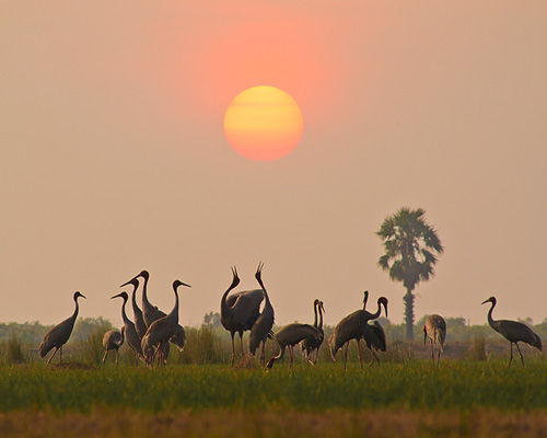 Beautiful_Landscapes_from_Vietnam__1_.jpg