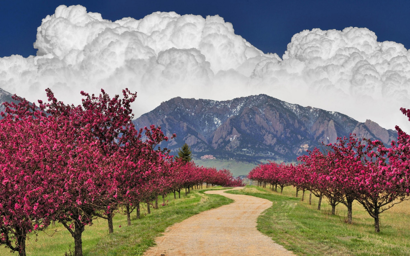amazing_landscape_1440x900.jpg