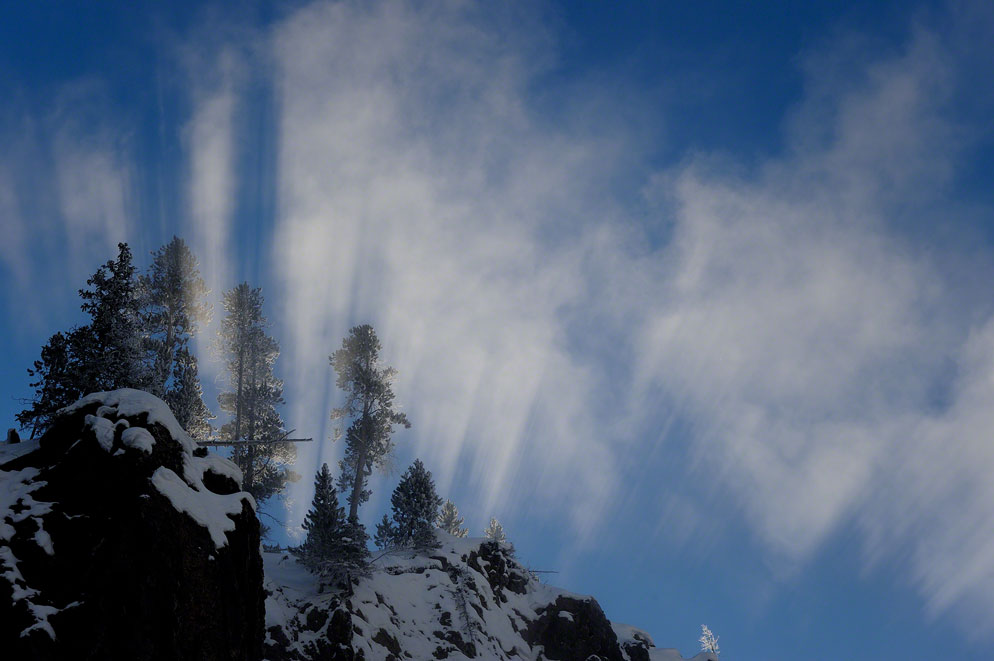 Moose_Peterson_Shooting_Winter_04.jpg