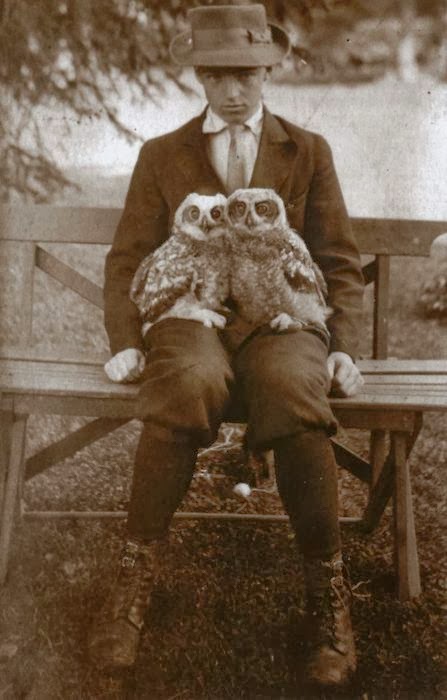 Boy_with_pet_owls__circa_1911.jpg
