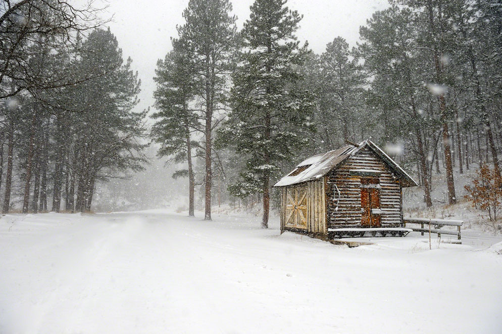 Moose_Peterson_Shooting_Winter_05.jpg