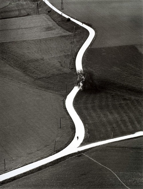 Toni_Schneiders___Landweg_in_K__rnten__Mai_1957..jpg