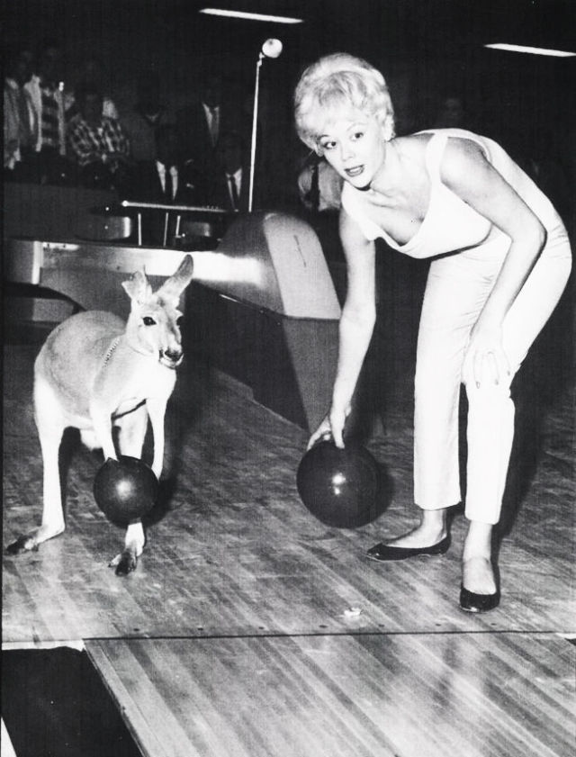 funny_and_wtf_vintage_animal_pics_640_high_07.jpg