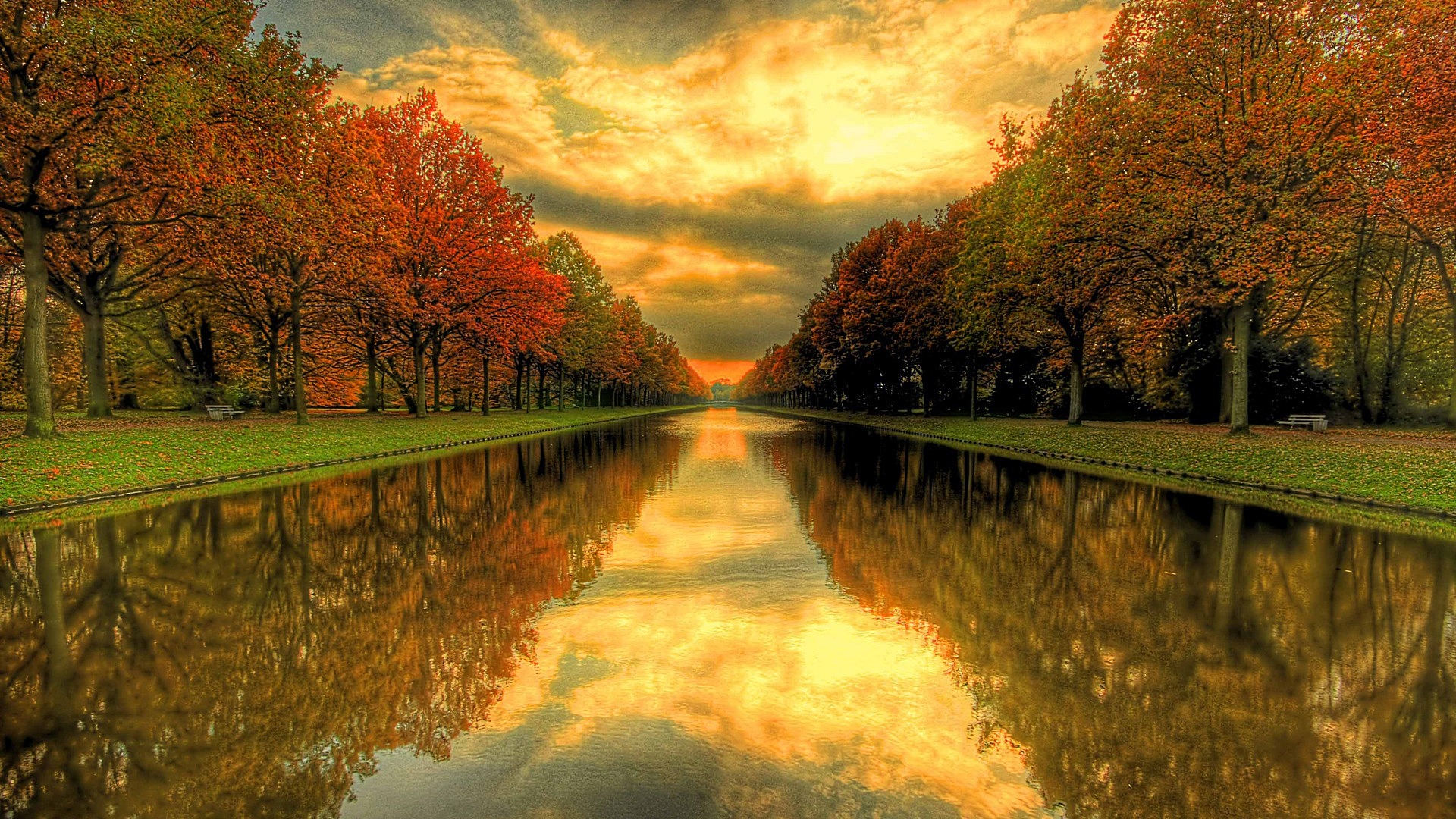 Wonderful_Trees_and_Water_Nature_Wallpaper.jpg