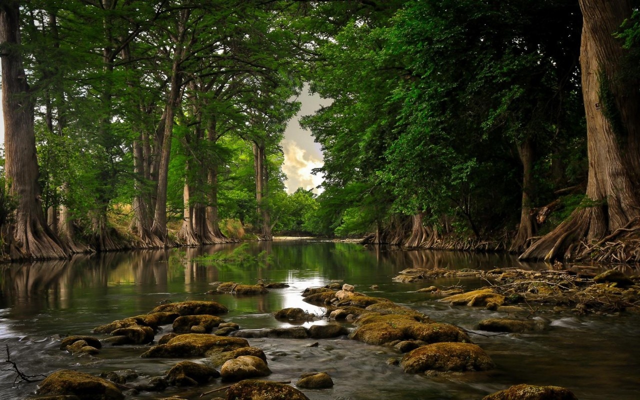 wonderful_nature_1280x800.jpg