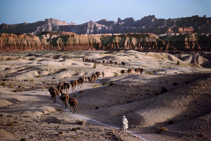 Steve_McCurry____Camel_Caravan__Southern_Afghanistan.jpg