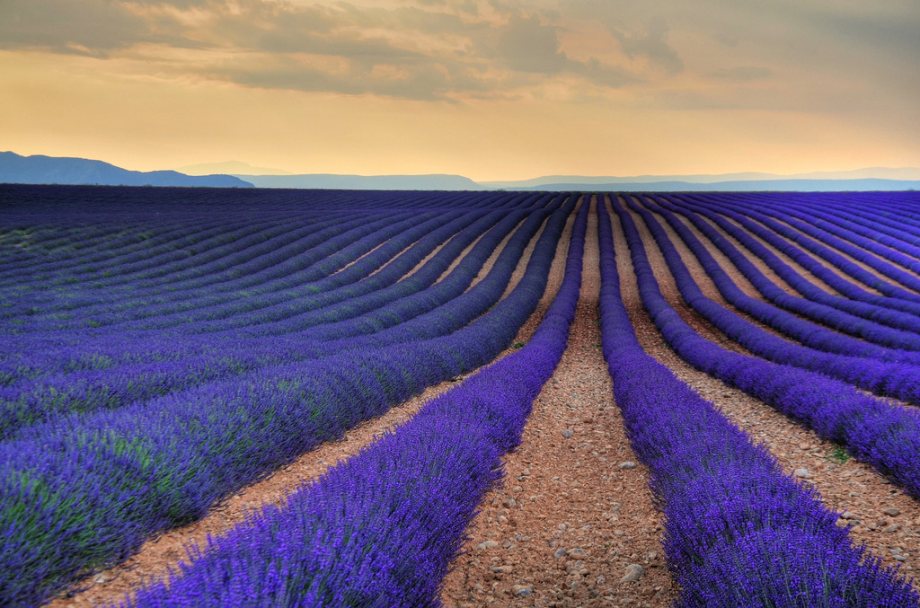 amazing_nature_wallpapers_photography_4.jpg