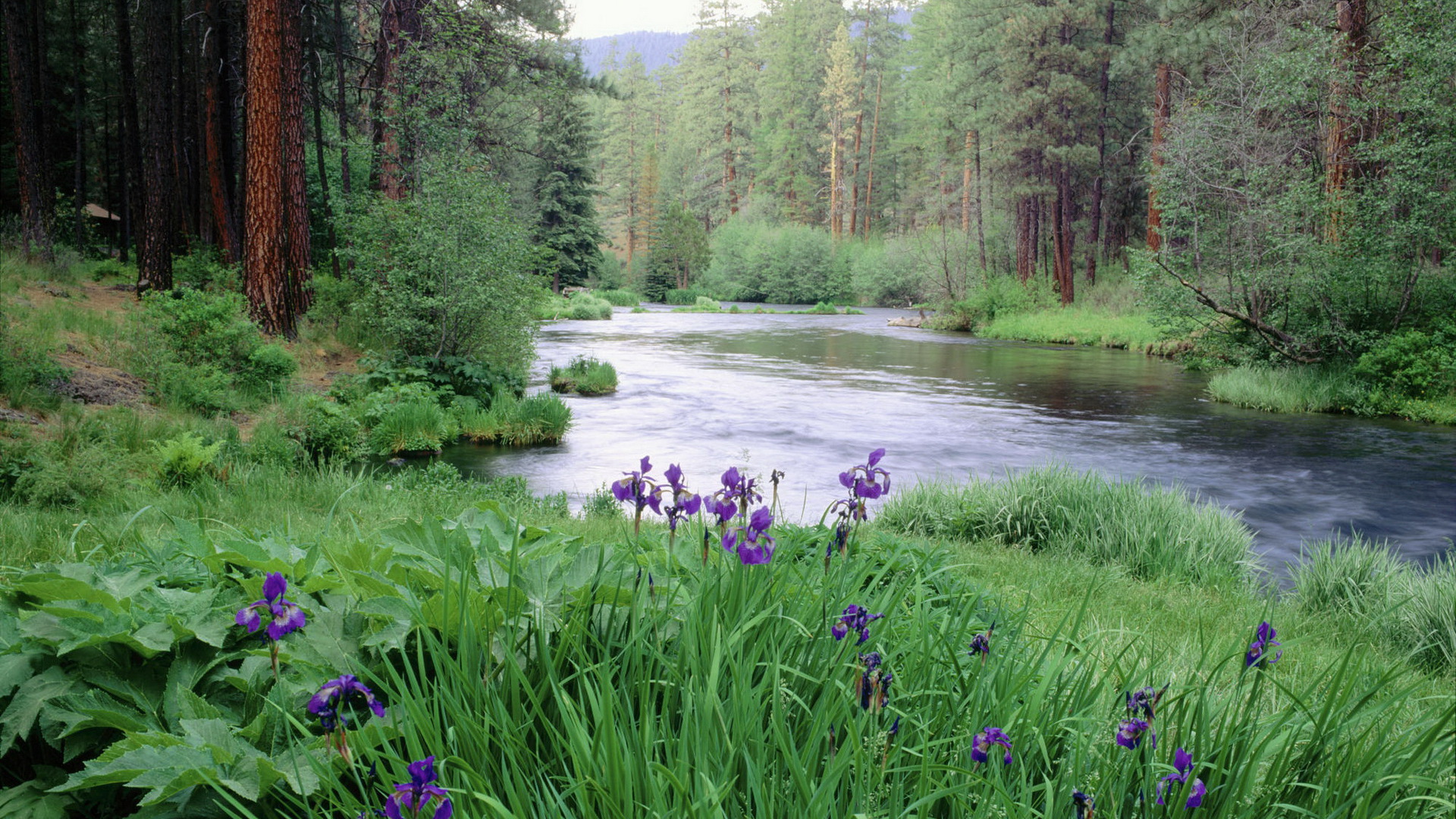 15_colorful_Nature_photography_1.jpg