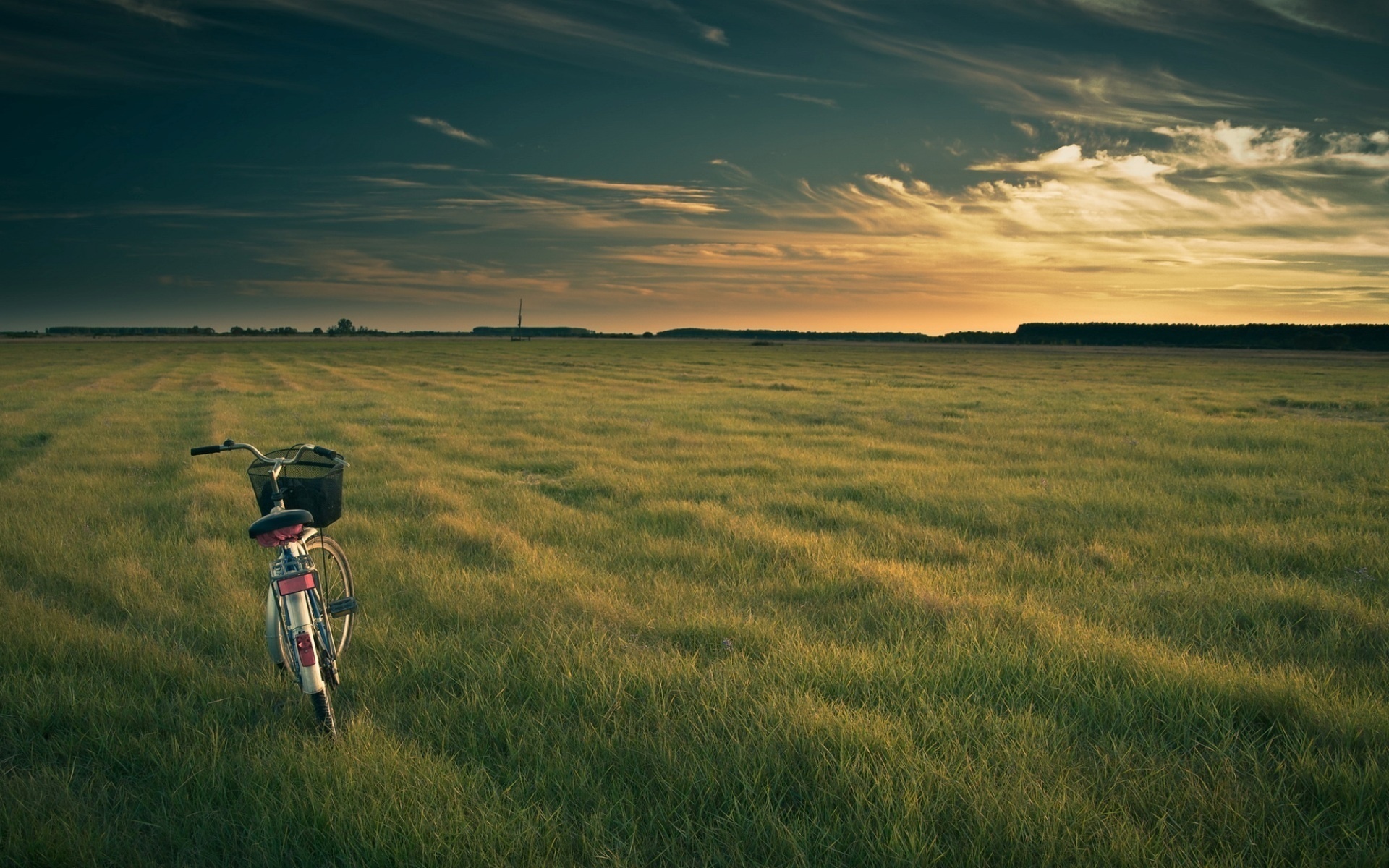 Bycicle_Photography_Picture.jpg
